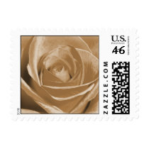 Old Rose stamp by bkang22 Old Rose stamp