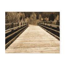 Old Rustic Wooden Bridge Postcard