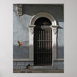 Old San Juan Stucco Doorway Photo Poster