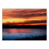Old Saybrook, CT cards