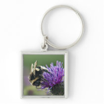 Old Scruffy Bee Keychain keychains
