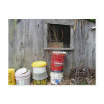 Old Shed Post Cards