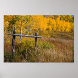 Old Ski Slope on Grand Mesa posters