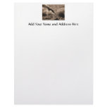 Old Steamengine train (I love old trains) Letterhead