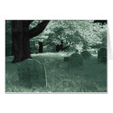 Old Stones, Old Bones cards