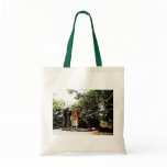 Old Structure in Sintra Portugal bags