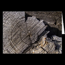 Old Stump Counting Rings Birthday Card cards