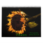 Old Sunflower, Flowers, Photography  Jeffrey Si... calendars