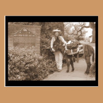 Old Time donkey postcard postcards
