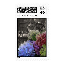 Old Time Flowers postage