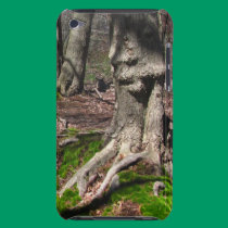 Old Trail ~ casemate cases