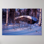 Old Trapper's Cabin posters