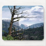 Old Tree at Yosemite Mousepad