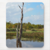 Old Tree Covered in Moss Mousepad
