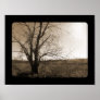 Old Tree In Winter Print