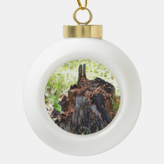tree stump ornaments keepsake ornaments zazzle tree stump ornaments keepsake ornaments zazzle
