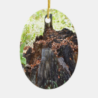 tree stump ornaments keepsake ornaments zazzle tree stump ornaments keepsake ornaments zazzle