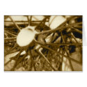 Old Wagon Spokes: Blank cards