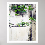 Old Wall;New Life:Nature Zen/Tao Print