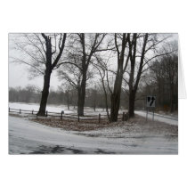 Old Westbury Pond, New York cards by lilyhydrangea Old Westbury Pond, New York cards