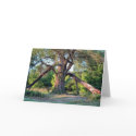 Old Willow Tree cards by patrickrp Old Willow Tree cards