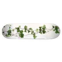 Old Wood Custom Skateboard