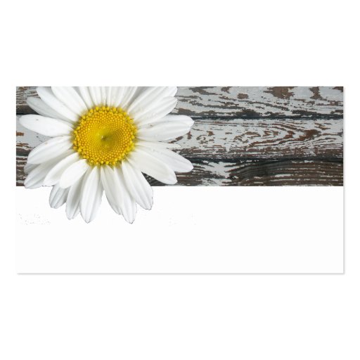Old Wood Shasta Daisy Place Cards Business Cards (back side)