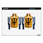 Old Wooden Barbados Flag; Decals For Headsets