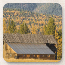 Old wooden barn with autumn tamaracks near beverage coasters