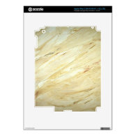 Old World Marble iPad 3 Skin