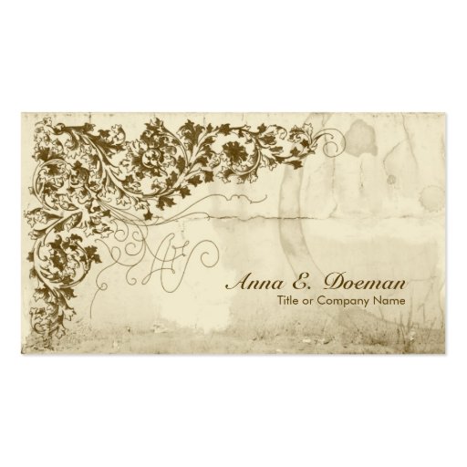 Old World Vines Business Card