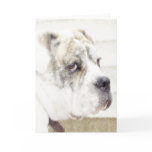 Olde English Bulldogge greeting card