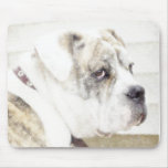 Olde english bulldogge mousepad