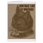 Olde LOLcat Greeting Card