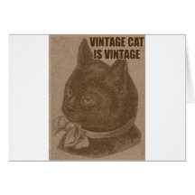 Olde LOLcat Card