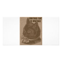 Olde LOLcat Custom Photo Card