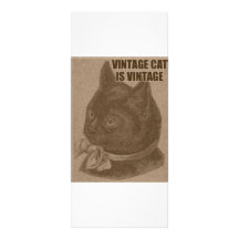 Olde LOLcat Custom Rack Card