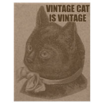 Olde LOLcat Flyers