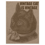 Olde LOLcat flyers