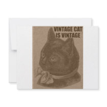 Olde LOLcat invitations by spyderfyngers Olde LOLcat invitations