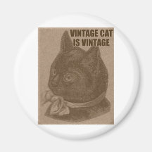 Olde LOLcat Magnets