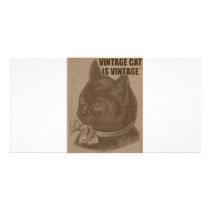 Olde LOLcat photo cards