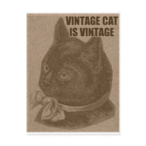Olde LOLcat cartées postais