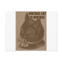 Olde LOLcat Postcard