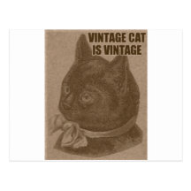 Olde LOLcat Postcard