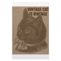 Olde LOLcat stationery by spyderfyngers Olde LOLcat stationery