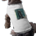 Oldie 2 but Goodie pet clothing