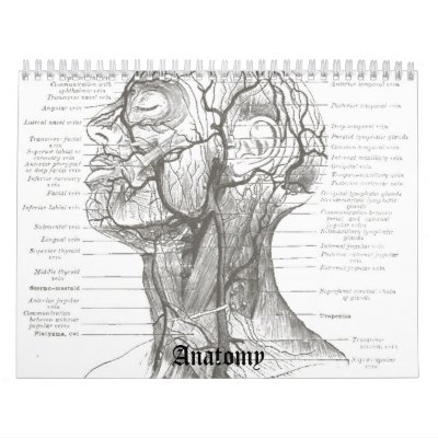 OldSchool Anatomy Calendar OldSchool Anatomy Calendar
