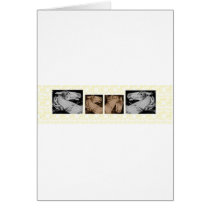 oldtime carousel cards