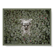 ole leafhead posters